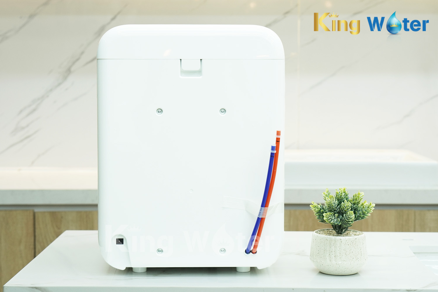 Máy Lọc Nước R.O Coway JOEY (P-300R) | Để Bàn 05 Lõi