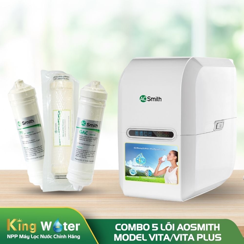 Combo 5 Lõi Lọc Nước AO Smith Vita/Vita Plus