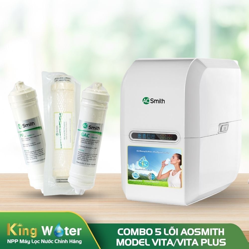 Combo 5 Lõi Lọc Nước AO Smith Vita/Vita Plus