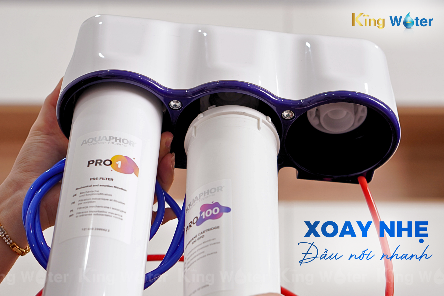 Lõi Tiền Lọc Aquaphor Pro 1 | Lọc Than Nén Đa Năng