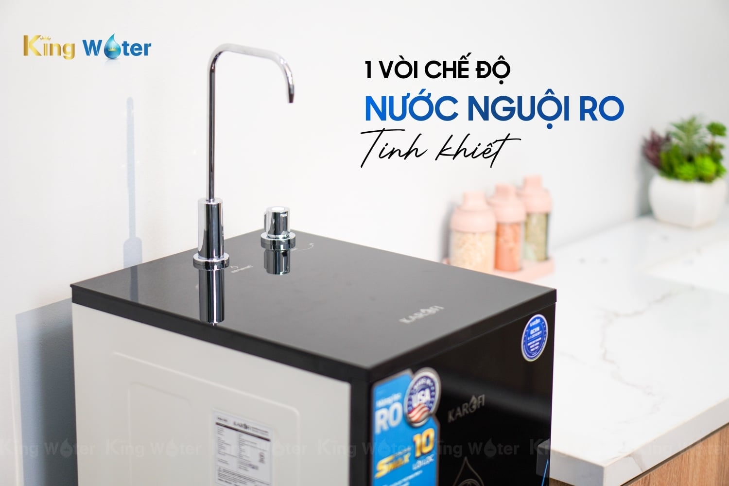 Máy lọc nước RO 10 lõi Karofi KAQ-D36