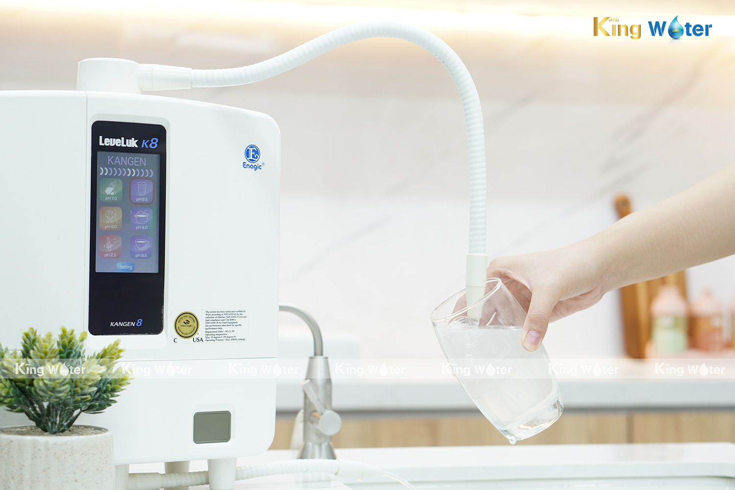 Máy Lọc Nước Điện Giải Ion Kiềm Kangen Leveluk K8 | 8 Tấm Điện Cực