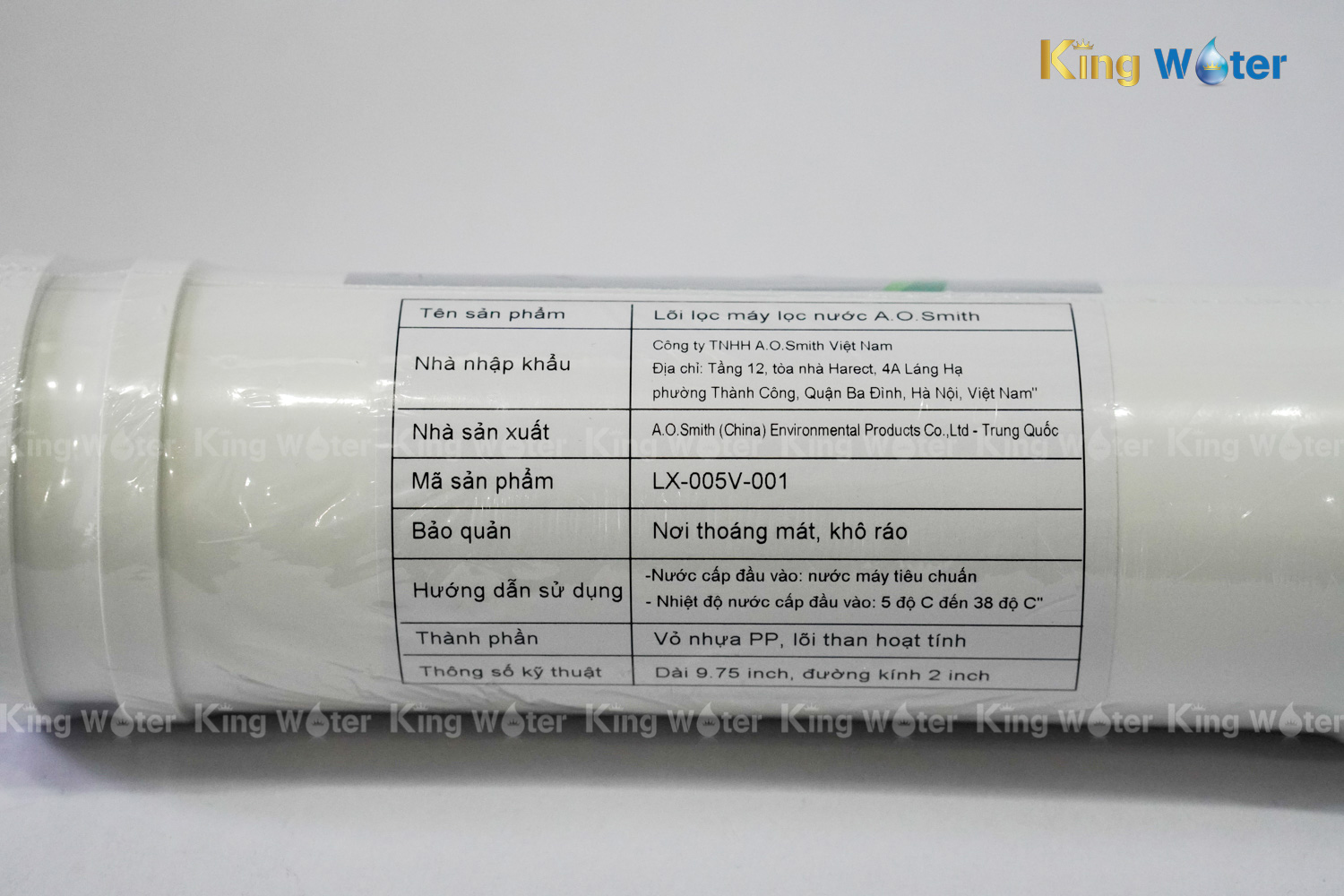 Lõi lọc AO Smith GAC | LX-005V-001