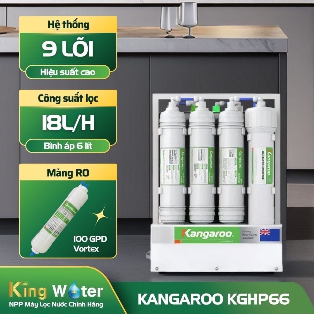 Máy Lọc Nước RO Kangaroo KGHP66 | Để Gầm 9 lõi