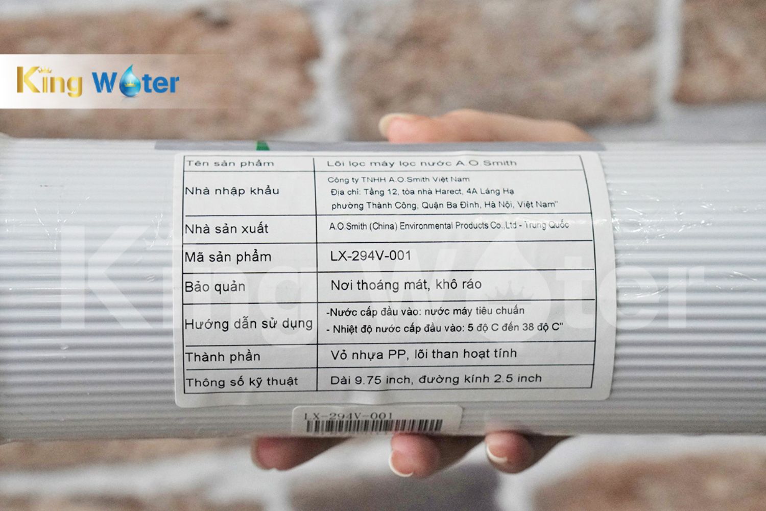 Lõi Lọc AO Smith GAC | LX-294V-001