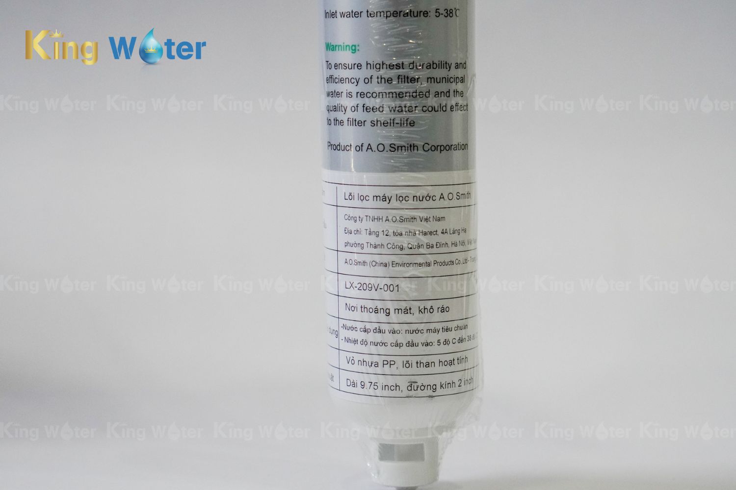Lõi lọc AO Smith PAC | LX-209V-001