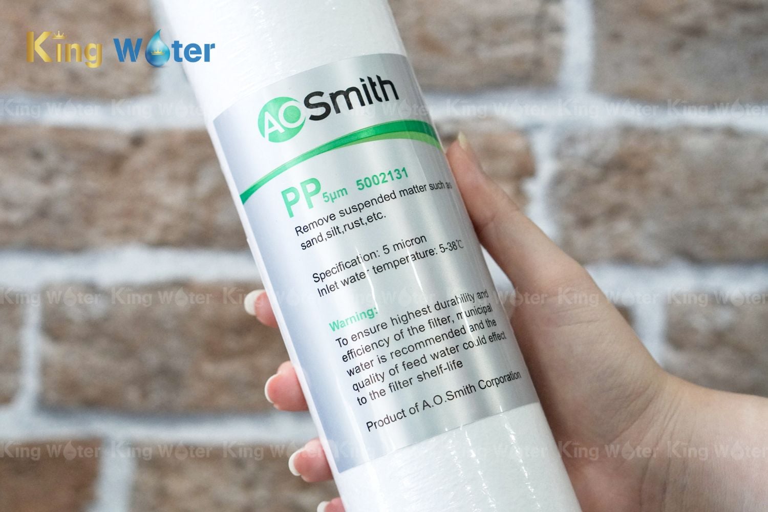 Lõi lọc AO Smith PP5 | LX-292V-001