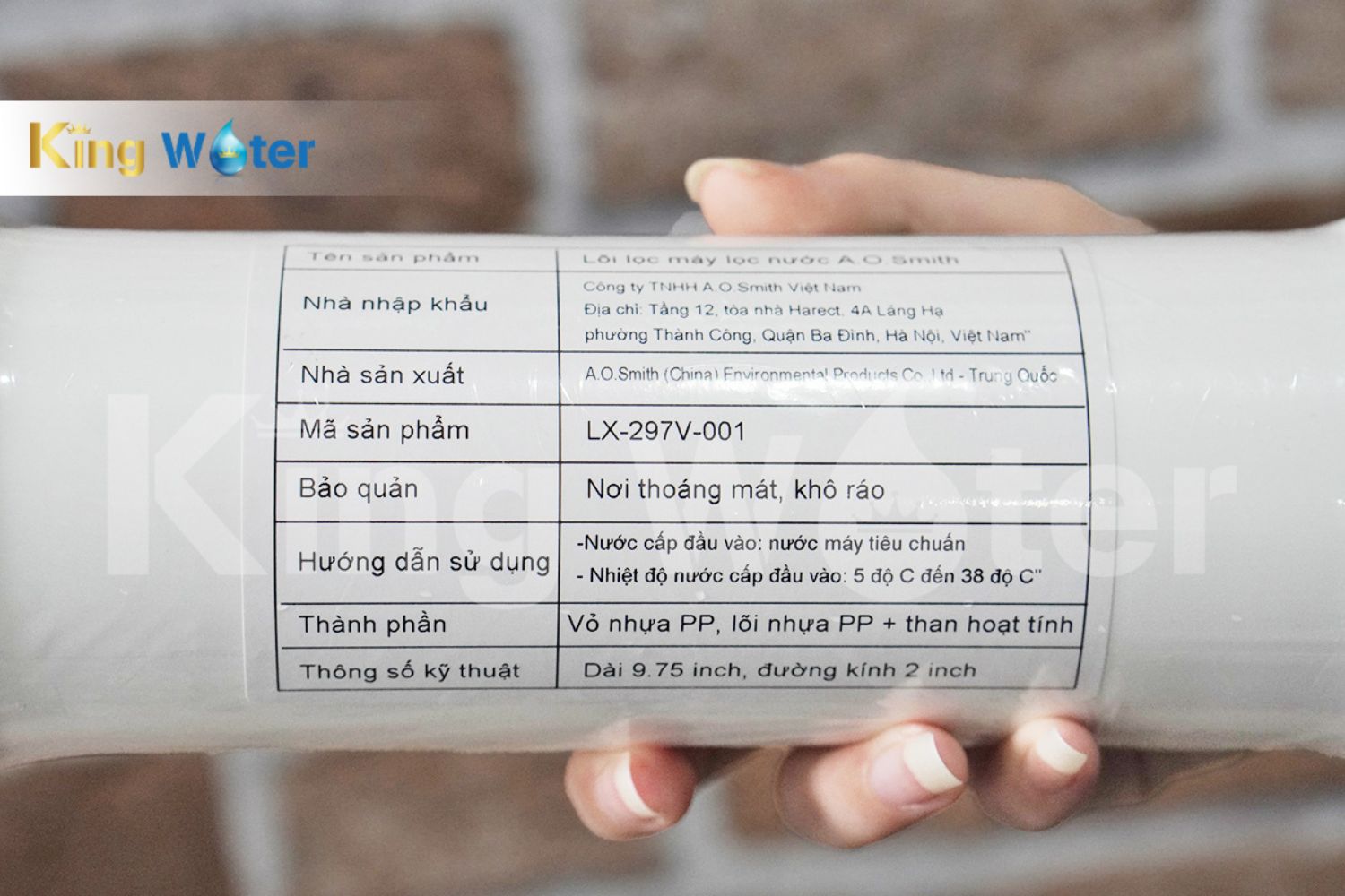 Lõi lọc số 1 AO Smith Composite | LX-297V-001