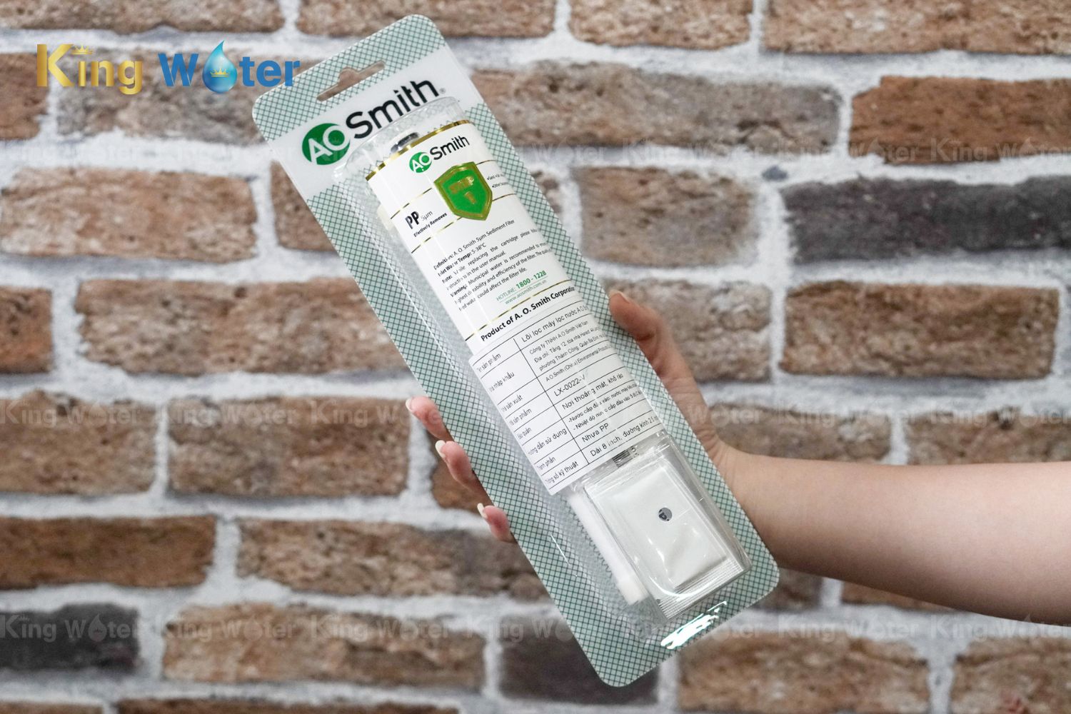 Lõi lọc số 1 AO Smith PP5 | LX-0022-V