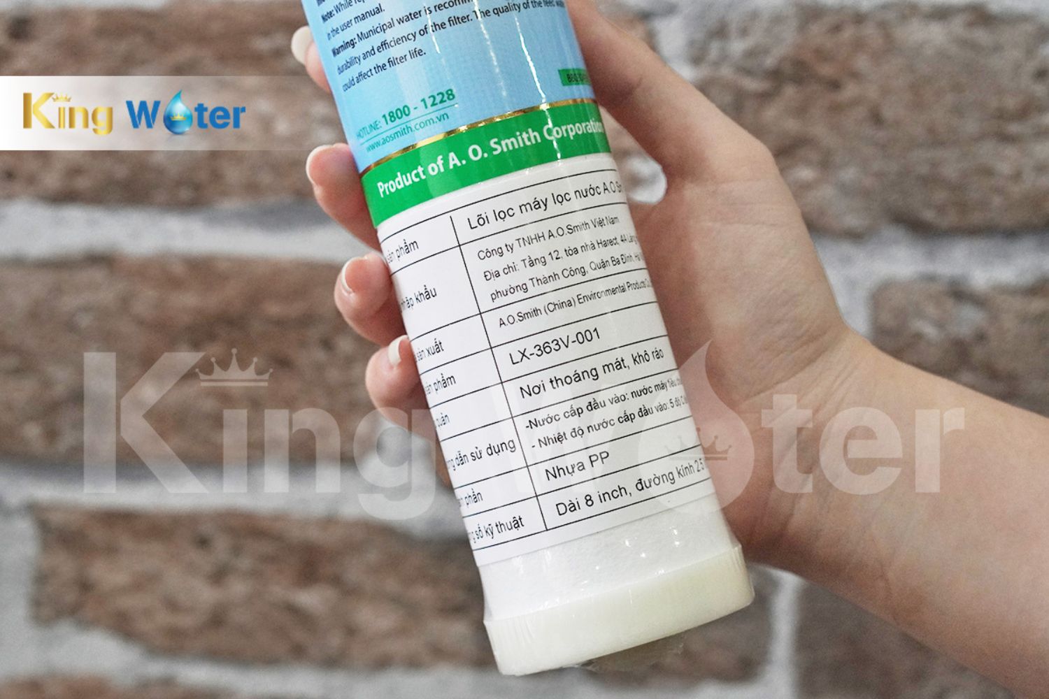 Lõi lọc số 1 AO Smith PP5 | LX-363V-001