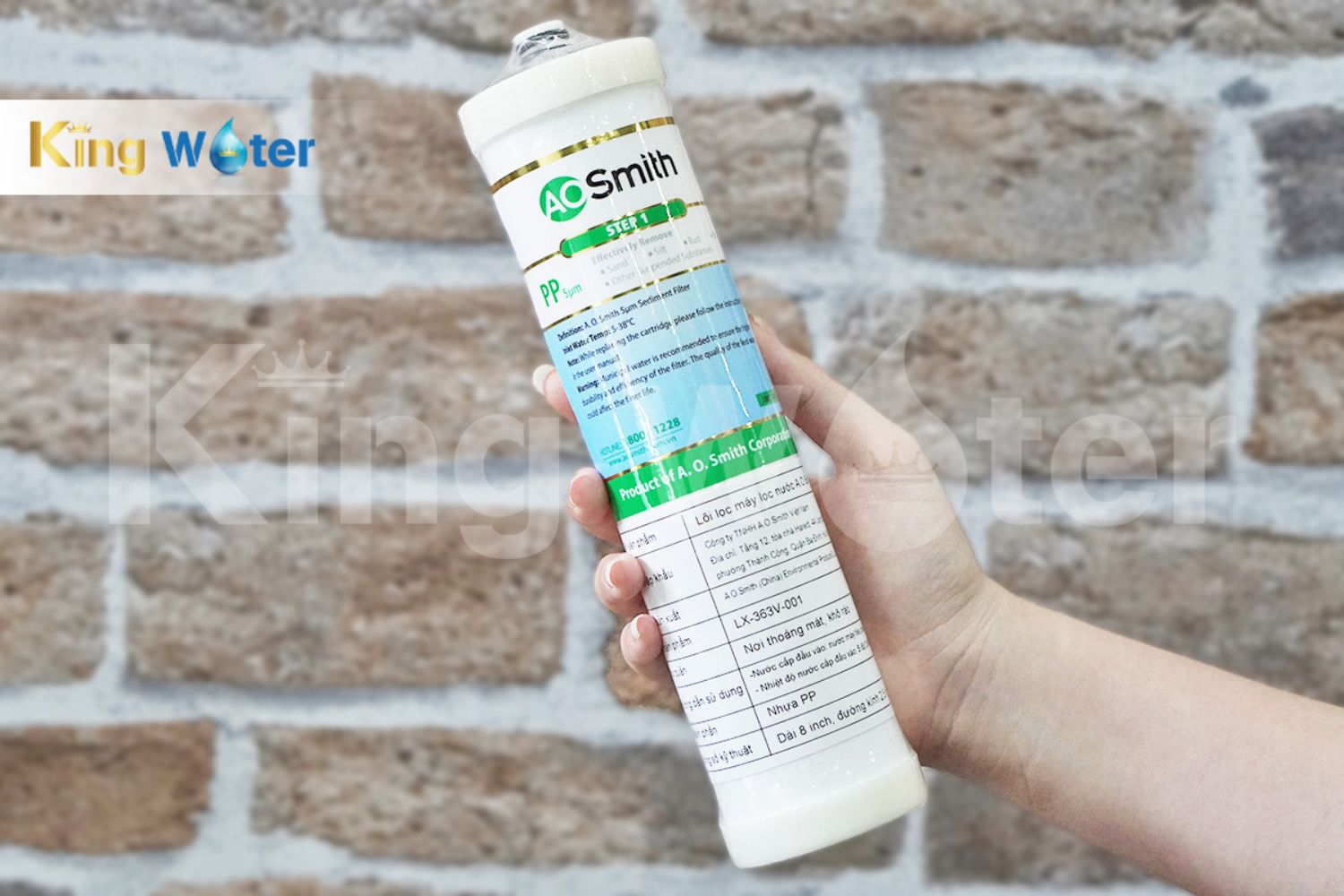 Lõi lọc số 1 AO Smith PP5 | LX-363V-001