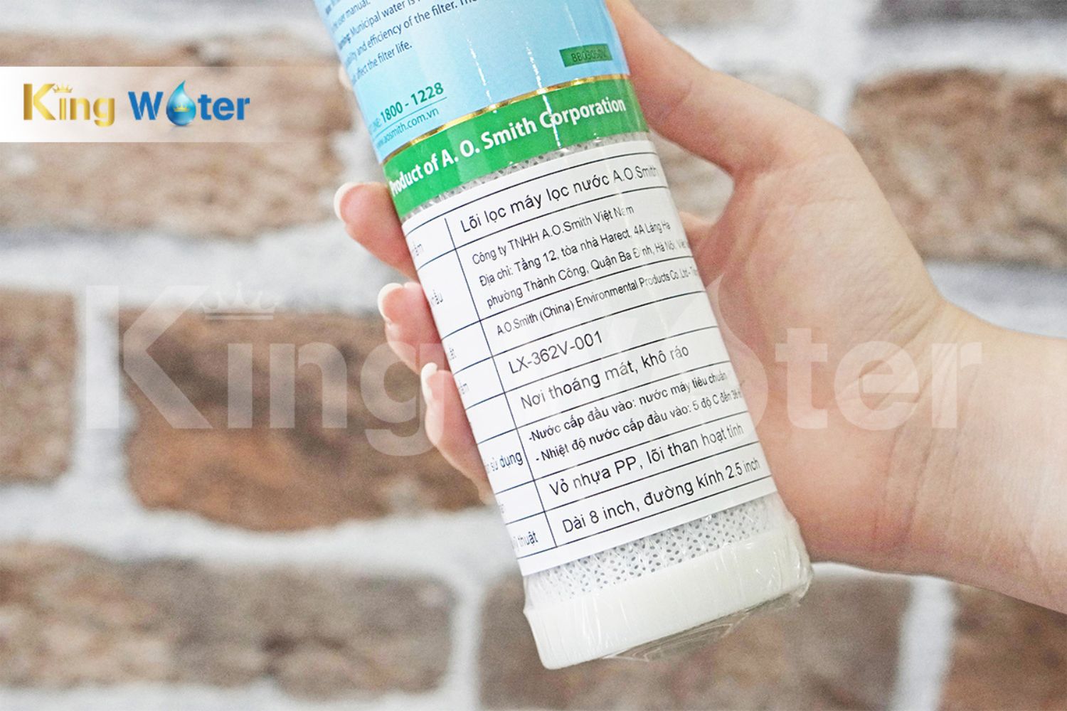 Lõi lọc số 2 AO Smith Carbon Block | LX-362V-001