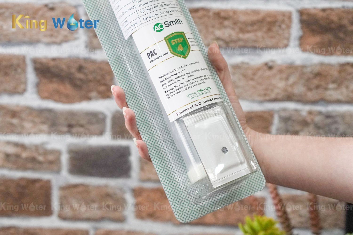 Lõi lọc số 2 AO Smith PAC | PJ-1866-V