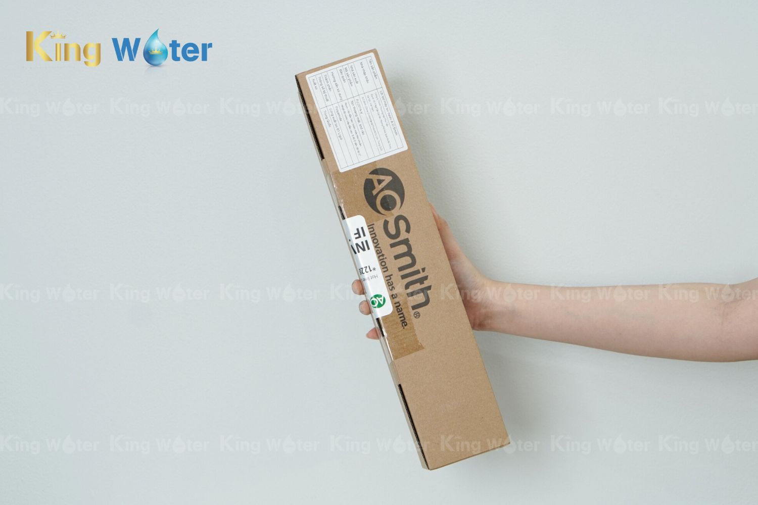 Lõi lọc số 2 AO Smith RO Side Stream 2.0 (400GPD) | PJ-2074-V