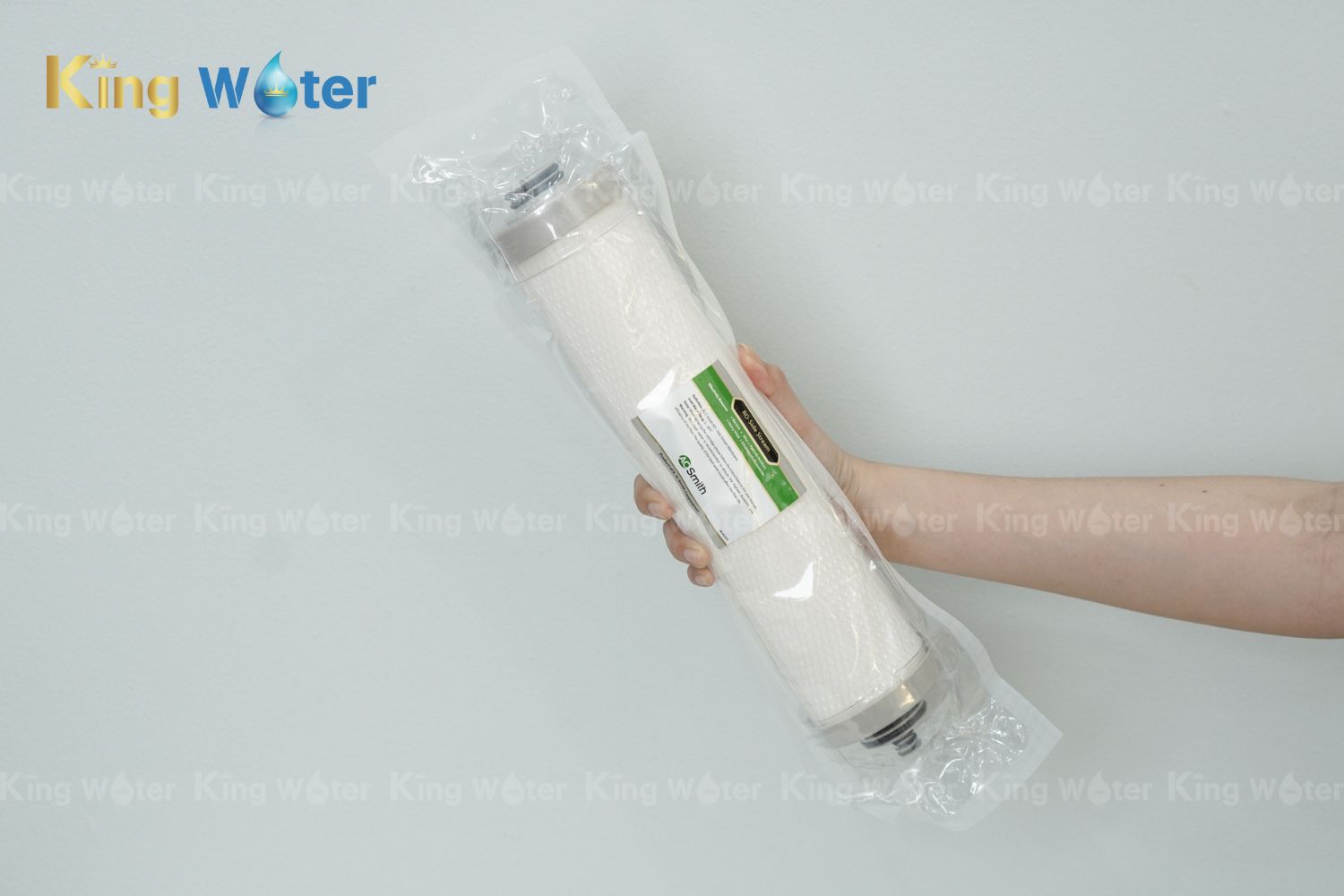 Lõi lọc số 2 AO Smith RO Side Stream 2.0 (400GPD) | PJ-2074-V