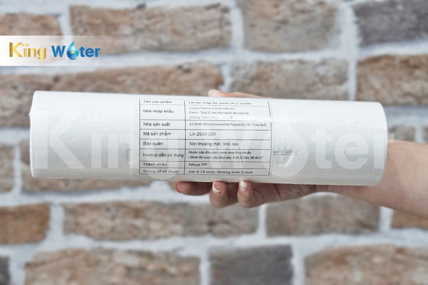 Lõi lọc số 3 AO Smith PP1 | LX-293V-001
