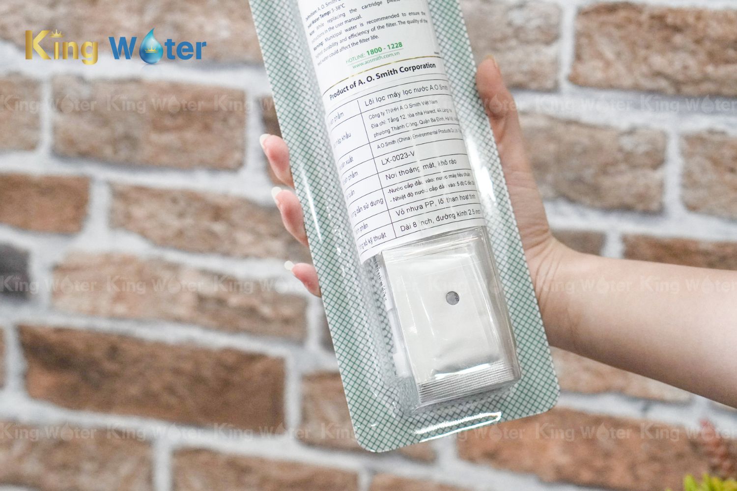 Lõi lọc số 4 Ao Smith Carbon Block | LX-0023-V