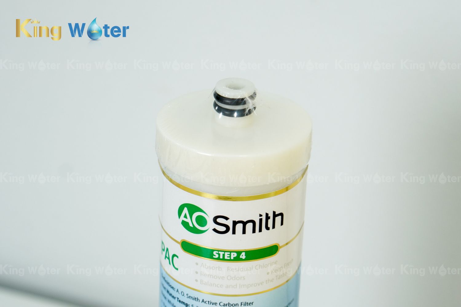 Lõi lọc số 4 AO Smith PAC | LX-006R02V-001