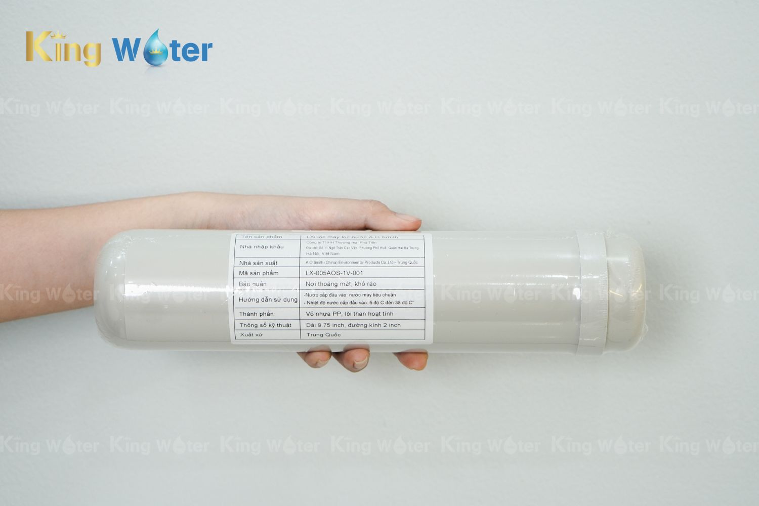 Lõi lọc số 5 AO Smith PAC | LX-005AOS-1V-001