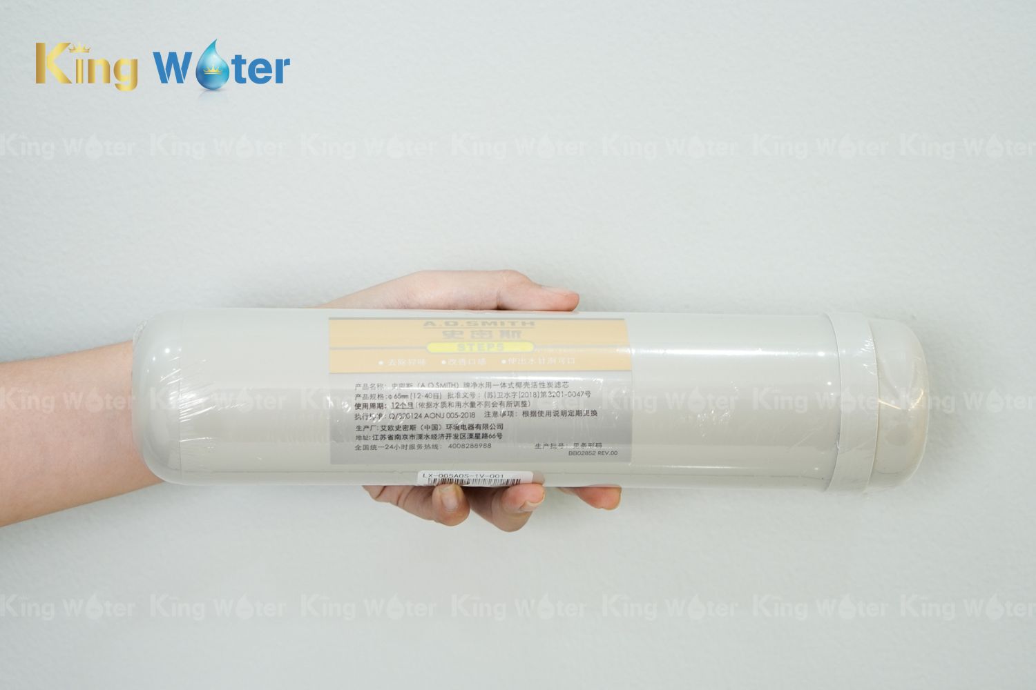 Lõi lọc số 5 AO Smith PAC | LX-005AOS-1V-001