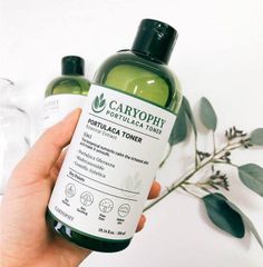 Nước Hoa Hồng Caryophy Ngừa Mụn Kiềm Dầu Giảm Thâm 300ml