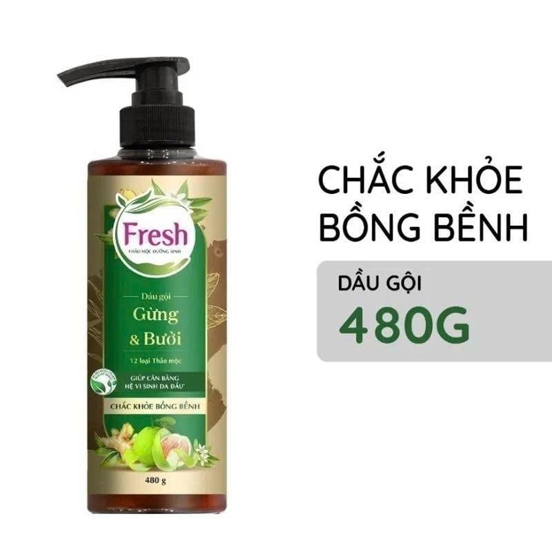 Dầu Gội Fresh Thảo Mộc Dưỡng Sinh  Gừng Bưởi và Gừng Bồ kết 480g