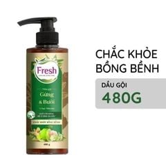 Dầu Gội Fresh Thảo Mộc Dưỡng Sinh  Gừng Bưởi và Gừng Bồ kết 480g