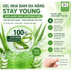 Gel Mặt Nạ Dưỡng Da Nha Đam StayYoung hộp 300gr - Hàn Quốc