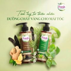 Dầu Gội Fresh Thảo Mộc Dưỡng Sinh  Gừng Bưởi và Gừng Bồ kết 480g
