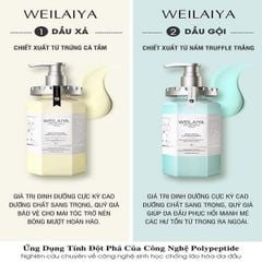 Combo Dầu Gội Xả Phục Hồi Đa Tầng Nấm Truffle Weilaiya 450ML