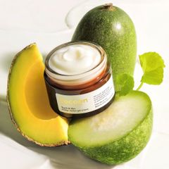 Thạch Bí Đao Dưỡng Ẩm Cocoon Giảm Dầu và Mụn Winter Melon Gel Cream 30ml