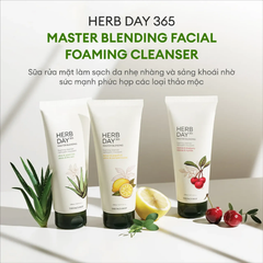Sữa Rửa Mặt THE FACE SHOP Herb Day 365 Lô Hội Trà Xanh 170ML