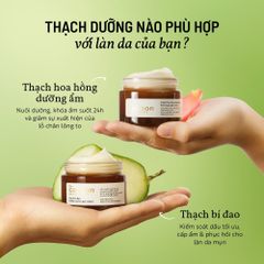 Thạch Bí Đao Dưỡng Ẩm Cocoon Giảm Dầu và Mụn Winter Melon Gel Cream 30ml