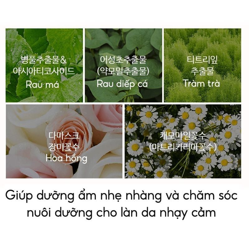 [50g] Kem Chống Nắng The Saem Kiềm Dầu, Nâng Tone Cho Da Sáng Hồng Pink Sun Cream EX SPF50+/PA++++