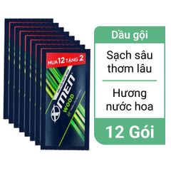 Dầu gội thơm lâu X-Men Xanh Wood 5g x 14gói