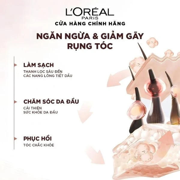 Dầu Gội L'Oreal Paris Full Resist Purifying 440ml