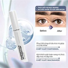 Tinh Chất Dưỡng Mi Compliment Phục Hồi Chắc Khỏe, Giảm Rụng Giúp Mi Dài Dày Tự Nhiên 12ml