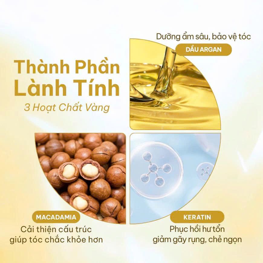 Xịt Dưỡng Tóc Compliment Dưỡng Tóc Bóng Mượt, Giảm Chẻ Ngọn, Bảo Vệ Ngăn Khô Xơ, Gãy Rụng 200ml