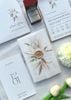 Thiệp cưới tối giản màu trắng xanh phong cách botanical, kèm phong bì và thiệp mời in hoa khô hiện đại
