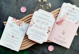  Thiệp Cưới "Hồng Phấn Mộng Mơ" - Dấu Ấn Cổ Điển & Lãng Mạn 