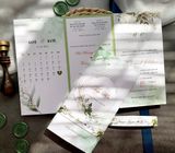  Thiệp Cưới "Giai Điệu Màu Nước" - Phối Màu Hiện Đại & Ruy Băng Voan 