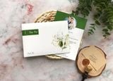 Thiệp Cưới "Khu Vườn Tình Yêu" - Xanh Sage Tươi Mát & Hơi Thở Thiên Nhiên 