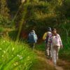  Trekking Rừng Đa Mân Đà Lạt (2 Day) 