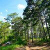  Trekking Rừng Đa Mân Đà Lạt (2 Day) 
