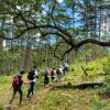  Tour Trekking BiDoup Núi Bà 2 Ngày 