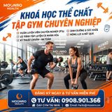  Khóa Sức Khoẻ Thể Chất Tập Gym 