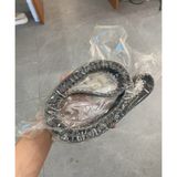  DÂY CUROA CAM CAMRY 3.0 (XỊN) MITSUBOSHI 211MY32 