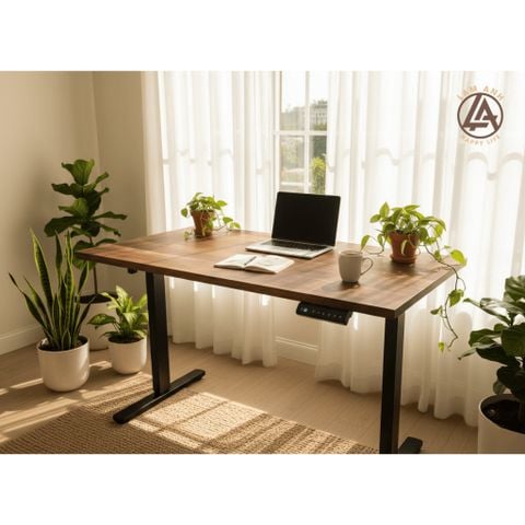  Bàn đứng công thái học gỗ Óc Chó | Chân nâng điện 2 motor DN KY02R – chắc chắn, sang trọng 