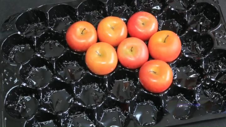  Khay Nhựa Đựng Trái Cây Plastic Fruit Tray 