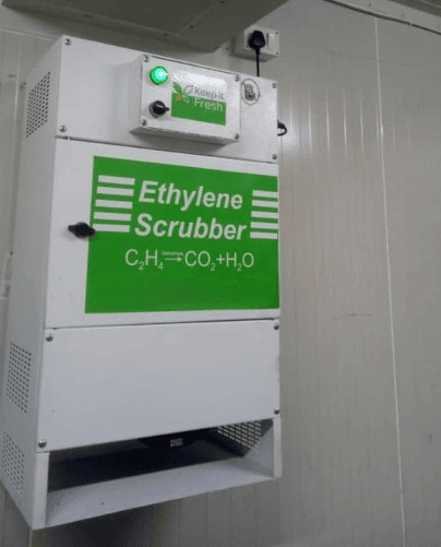  Máy Hấp Thụ Khí Ethylene Trong Kho Lạnh Bảo Quản Rau Quả 